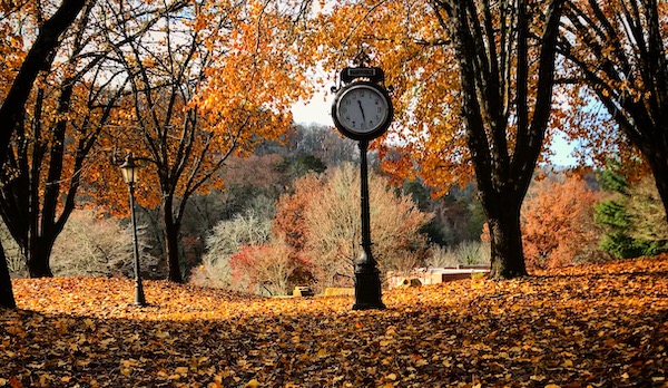 Clock in Fall